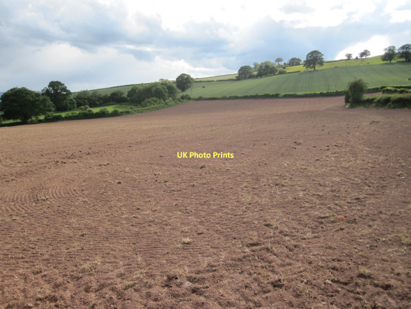 Photo 6"x4" Ploughed field west of Trefecca Talgarth\/SO1533 c2011