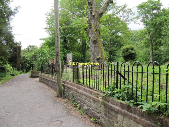 Photo 6"x4" Path by the entrance Wantage c2011