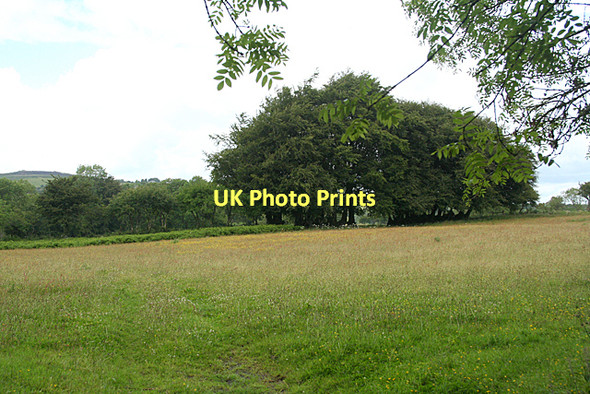 Photo 6"x4" North Bovey: between Lettaford and Jurston Jurston c2011