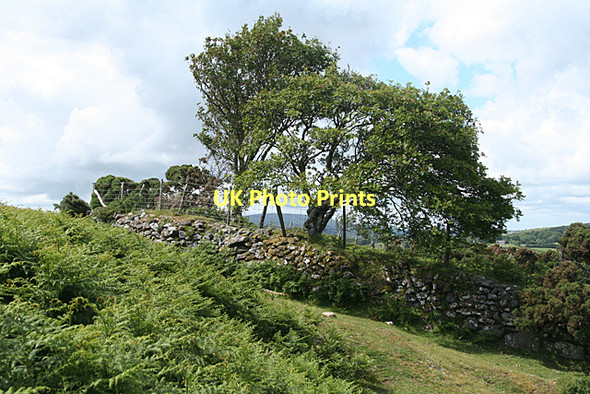 Photo 6"x4" North Bovey: the moor above Lettaford Jurston c2011