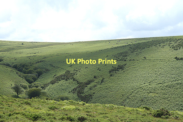 Photo 6"x4" North Bovey: overlooking Green Combe Jurston c2011