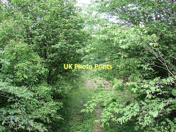 Photo 6"x4" Disused railway under London Road Edinburgh c2011