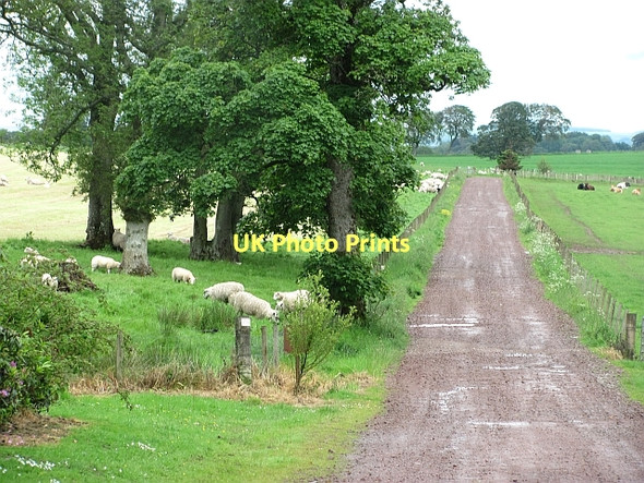 Photo 6"x4" Westraw road Pettinain c2011
