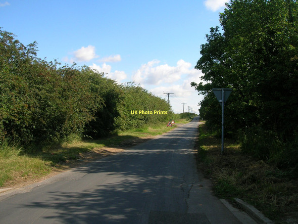 Photo 6"x4" Field Lane towards Gowdall Gowdall c2011