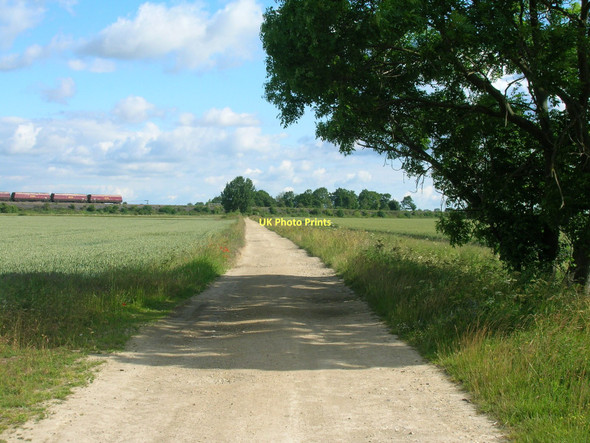 Photo 6"x4" Butt Fields Lane (track) Gowdall c2011