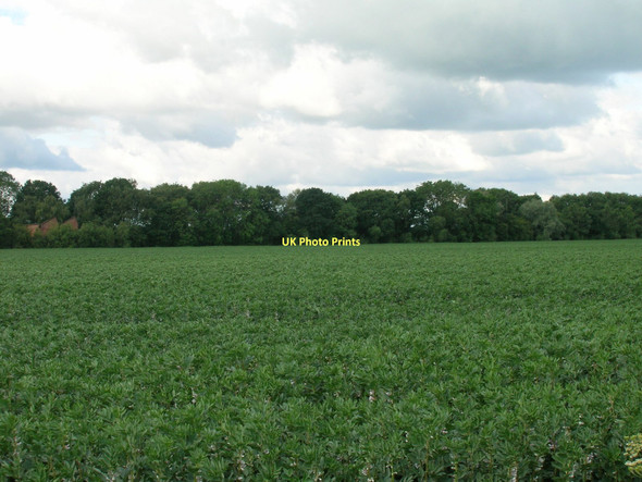 Photo 6"x4" Farmland off Gowdall Road Little Heck c2011