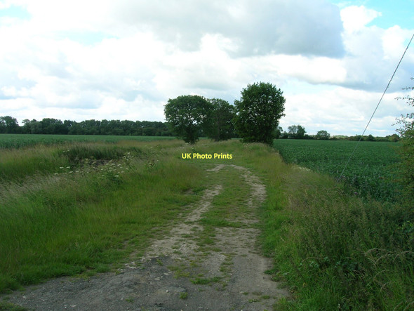 Photo 6"x4" Farm Track off Gowdall Road Hensall c2011
