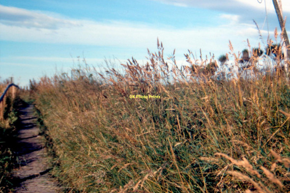 Photo 6"x4" St Cyrus National Nature Reserve - 1987 St Cyrus c1987