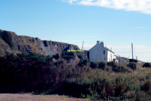 Photo 6"x4" St Cyrus National Nature Reserve - 1987 St Cyrus c1987 P1