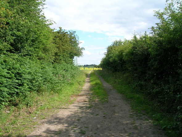 Photo 6"x4" Ings Lane (track) Hensall c2011