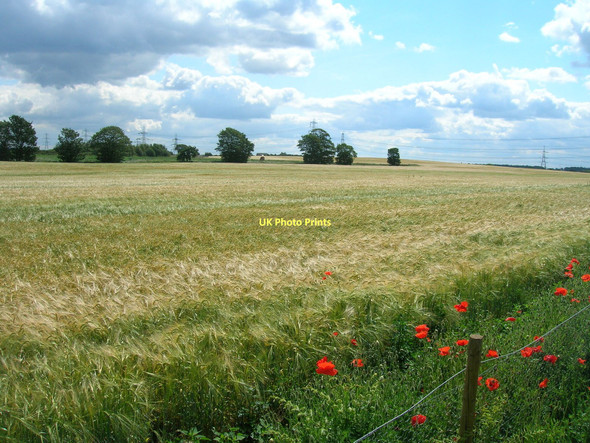Photo 6"x4" Farmland off Sudforth Lane Kellingley c2011