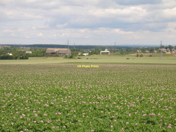 Photo 6"x4" Farmland off Lower Taythes Lane Knottingley c2011