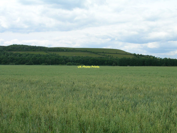 Photo 6"x4" Farmland, South Moor Whitley Bridge c2011