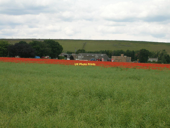 Photo 6"x4" Farmland near Grange Farm Whitley Thorpe c2011