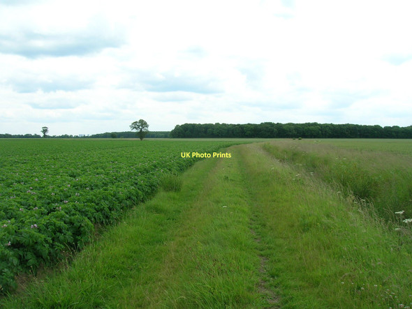 Photo 6"x4" Farm track running south from Fulham Lane Womersley c2011