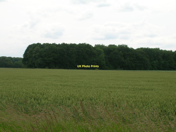 Photo 6"x4" Farmland towards Hodgsoncroft Wood Womersley c2011