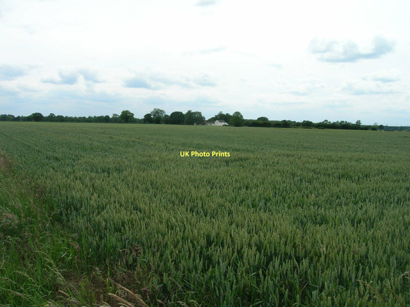 Photo 6"x4" Farmland Balne Moor Cross Roads Whitley Thorpe c2011