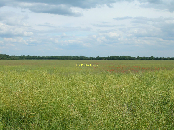 Photo 6"x4" Farmland, Whitley Lee Balne c2011