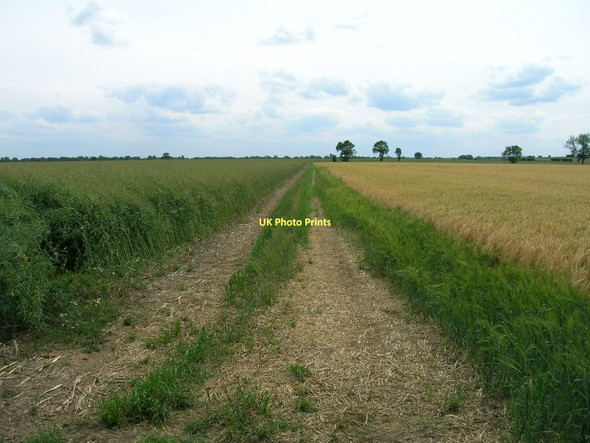 Photo 6"x4" Farm track, Whitley Lee High Eggborough c2011