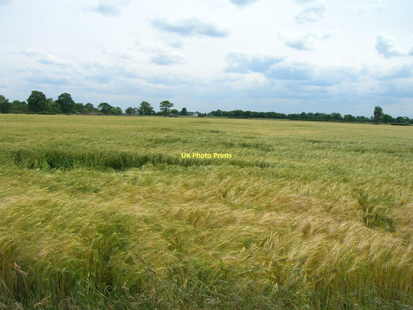Photo 6"x4" Farmland south of Balne Moor Road Balne c2011