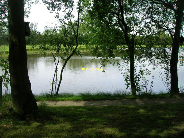 Photo 6"x4" Pond off Balne Moor Road Balne c2011