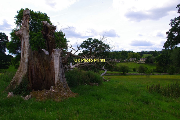 Photo 6"x4" Sherborne village from the Park Sherborne\/SP1714 c2011