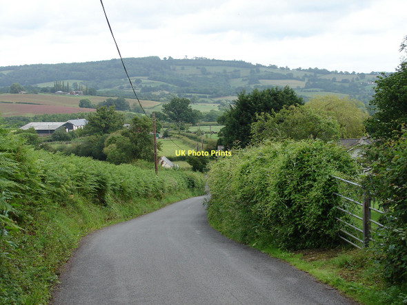 Photo 6"x4" Downhill view Dingestow c2011