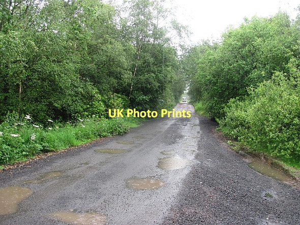 Photo 6"x4" Road, Whitemoss Wood Carstairs Junction c2011