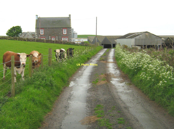 Photo 6"x4" Approaching Barnshills St Columba's Well c2011