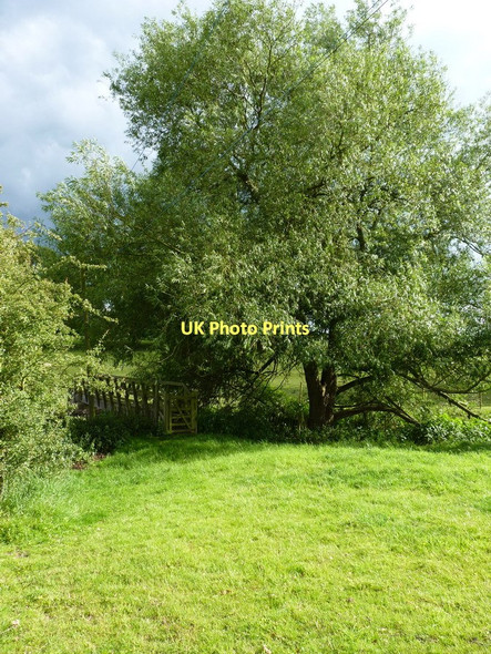 Photo 6"x4" Footbridge over the Smestow Brook Trescott c2011