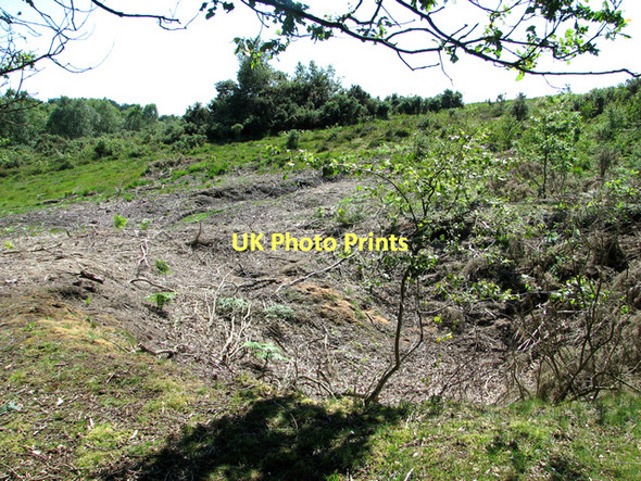 Photo 6"x4" Bomb crater on Holt Lowes Holt\/TG0838 c2011