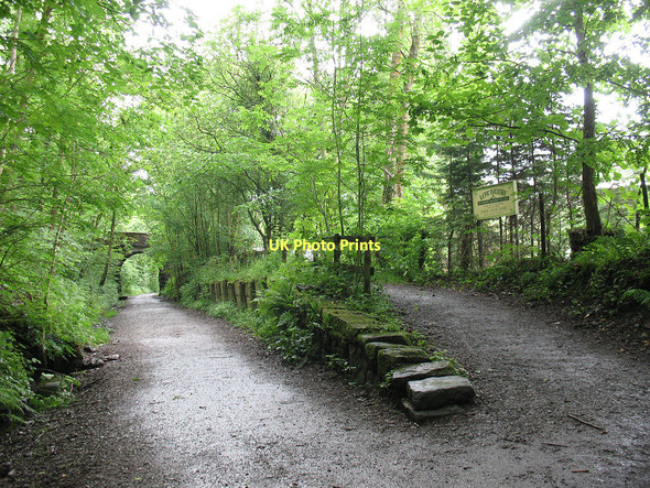 Photo 6"x4" Briery Halt (disused) Keswick\/NY2623 c2011