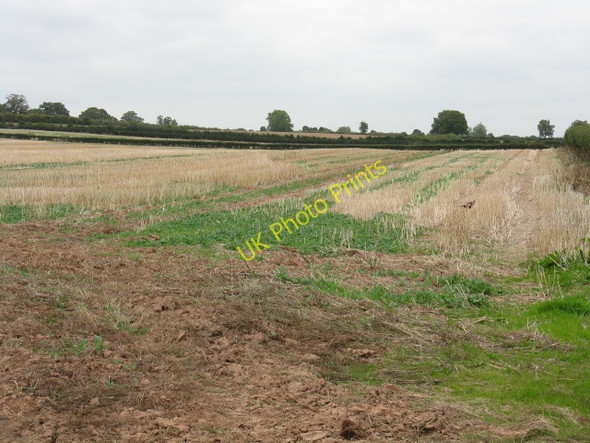 Photo 6"x4" Stubble Field Near Bainstree Cross Stretford Court c2009