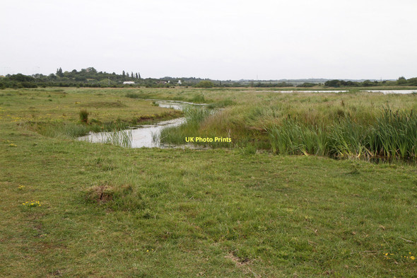 Photo 6"x4" Vange Marshes Nature Reserve Basildon c2011