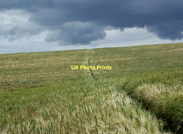 Photo 6"x4" Footpath across the crop field to Claverley, Shropshire Beobridge c2011