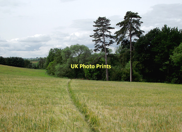 Photo 6"x4" Farmland south of Claverley, Shropshire Beobridge c2011