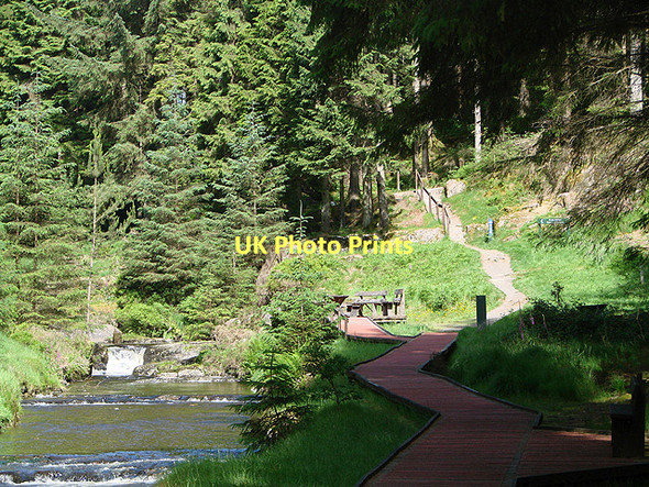 Photo 6"x4" The end of the Cascade Walk alongside the River Severn Tynyrwtra\/SN8885 c2011