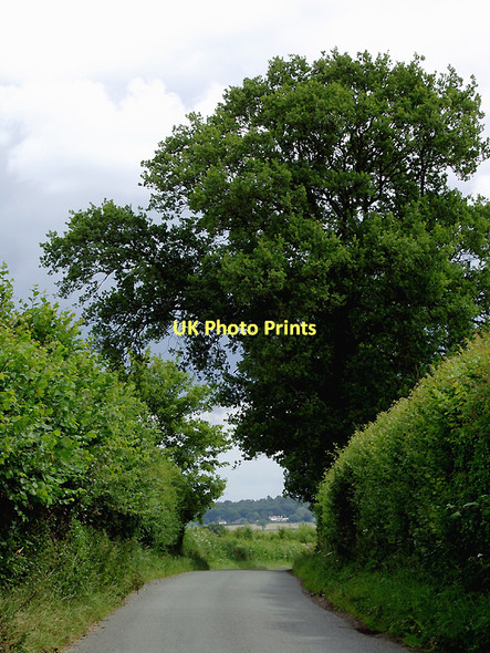 Photo 6"x4" Lane  south of Claverley, Shropshire Beobridge c2011