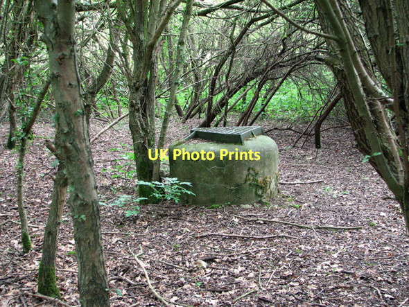 Photo 6"x4" Sewage manhole, Swardeston Common Intwood c2011