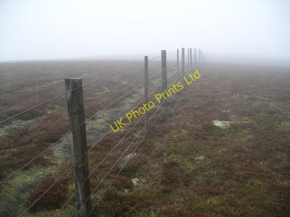 Photo 6"x4" Fence, Strummeadow Hill Langhaugh\/NT2031 c2006