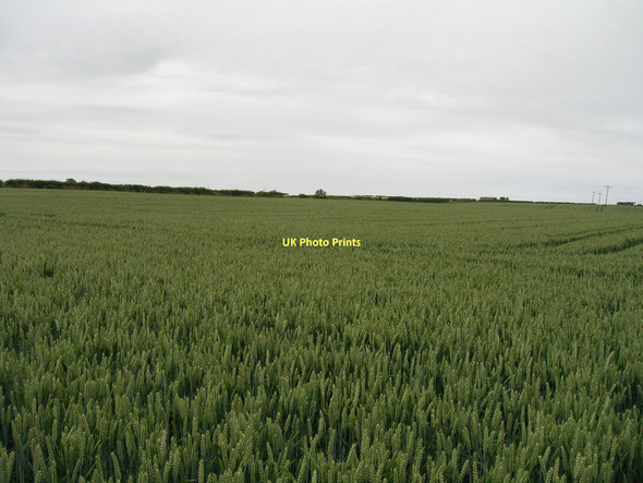 Photo 6"x4" Farmland off the A171 Whitby\/NZ8910 c2011