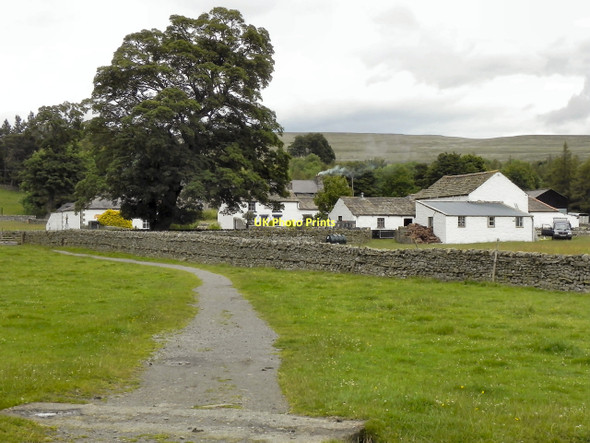 Photo 6"x4" Bowlees Farm Bowlees\/NY9028 c2011