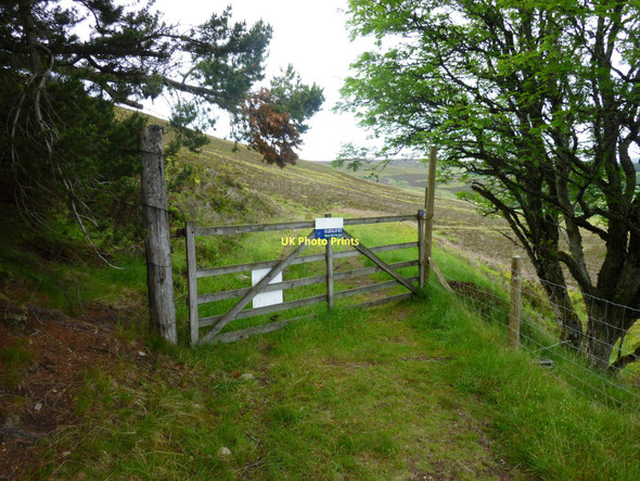 Photo 6"x4" Carn Daimh Climb Auchnarrow c2011