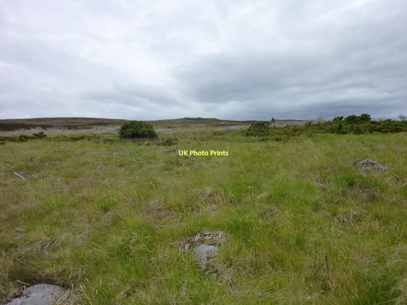 Photo 6"x4" Northern Slopes of Carn a Glaisneach Allt na Ce\u00e0rdaich\/NJ0237 c2011