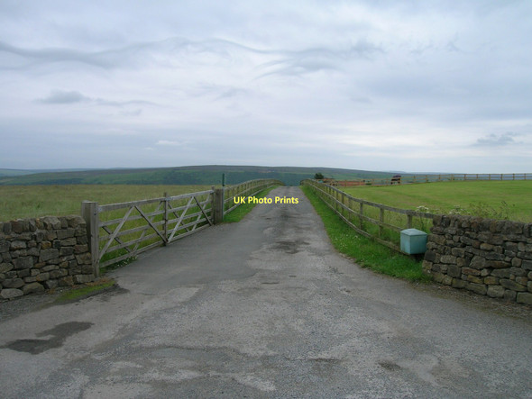 Photo 6"x4" Track to Moorcock Aislaby\/NZ8508 c2011