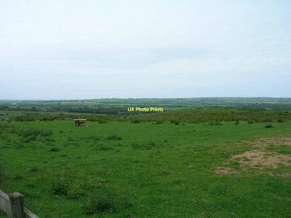 Photo 6"x4" Grazing land near Eden House Egton c2011