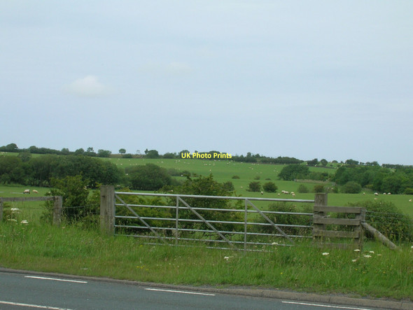 Photo 6"x4" Field entrance off the A171 Egton c2011