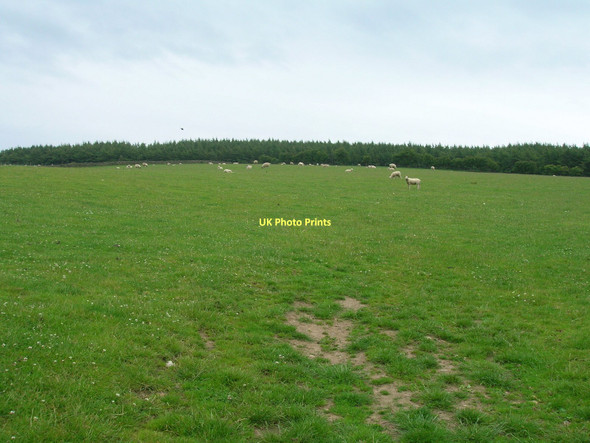 Photo 6"x4" Farmland near Allerton Head Aislaby\/NZ8508 c2011