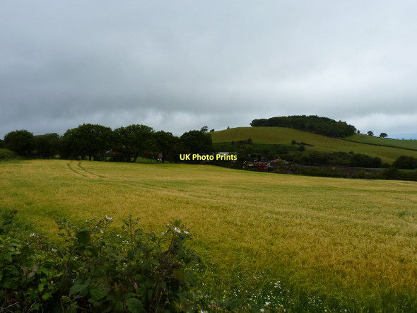 Photo 6"x4" Bank Farm, with Broom Hill beyond Pulverbatch c2011