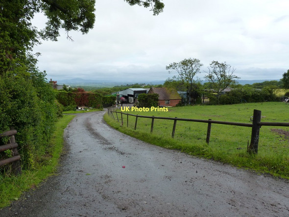 Photo 6"x4" The track to Bank farm Pulverbatch c2011